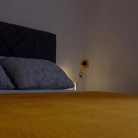 Apartmán Casa Bella - Vracar Bělehrad Exteriér fotografie