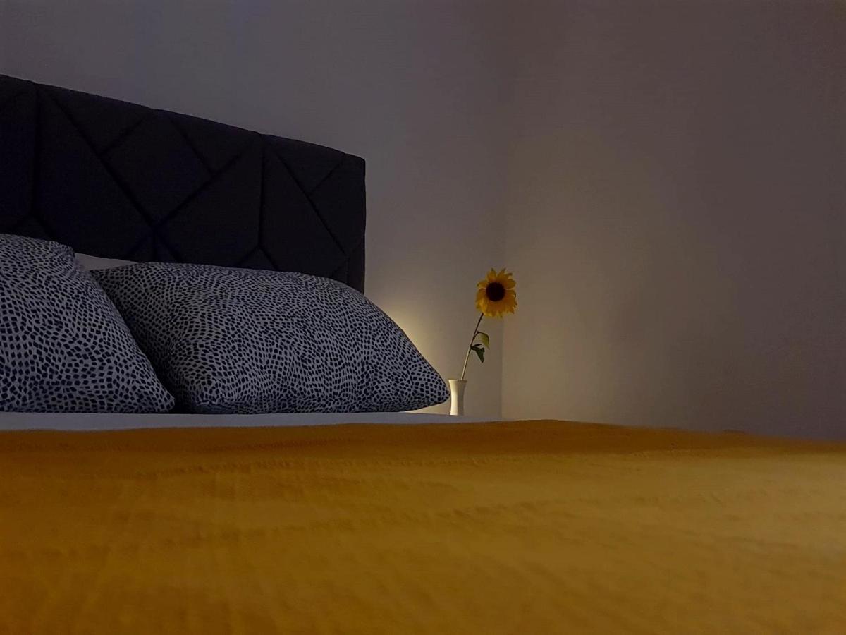 Apartmán Casa Bella - Vracar Bělehrad Exteriér fotografie